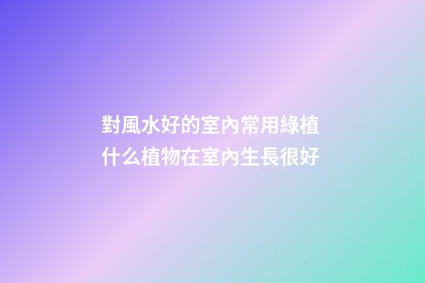 對風水好的室內常用綠植 什么植物在室內生長很好